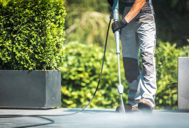 Best Sidewalk and Walkway Cleaning  in Abernathy, TX